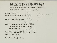 登錄號:F0013917藏品圖，第2張