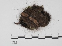 登錄號:F0013917藏品圖，第3張