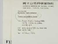 登錄號:F0013918藏品圖，第2張