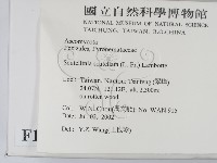 登錄號:F0013919藏品圖，第2張