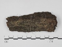 登錄號:F0013919藏品圖，第1張