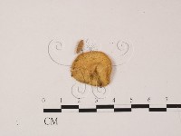 登錄號:F0013922藏品圖，第3張