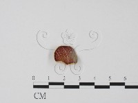 登錄號:F0013923藏品圖，第1張