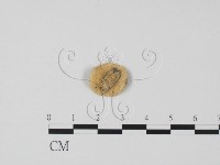 登錄號:F0013923藏品圖，第3張