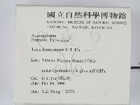 台灣塊菌藏品圖，第2張