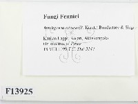 登錄號:F0013925藏品圖，第2張