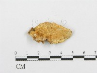 登錄號:F0013925藏品圖，第1張