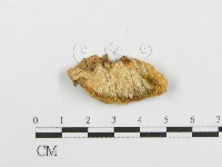 登錄號:F0013925藏品圖，第3張