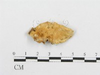 登錄號:F0013925藏品圖，第4張