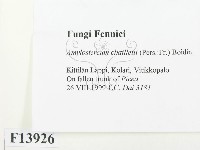 登錄號:F0013926藏品圖，第2張