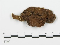 登錄號:F0013926藏品圖，第4張