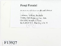 登錄號:F0013927藏品圖，第2張