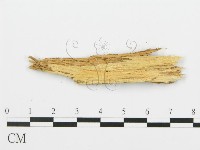 登錄號:F0013927藏品圖，第4張