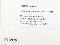 登錄號:F0013928藏品圖，第2張