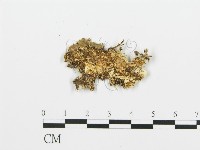 登錄號:F0013928藏品圖，第3張