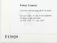 登錄號:F0013929藏品圖，第2張