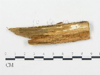 登錄號:F0013929藏品圖，第3張