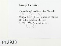 登錄號:F0013930藏品圖，第2張