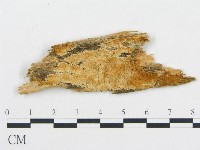 登錄號:F0013930藏品圖，第1張