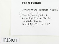 登錄號:F0013931藏品圖，第2張