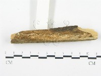 登錄號:F0013931藏品圖，第4張