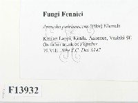 登錄號:F0013932藏品圖，第2張