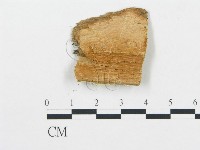 登錄號:F0013932藏品圖，第1張