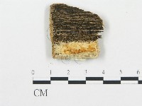 登錄號:F0013932藏品圖，第3張