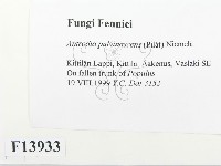 登錄號:F0013933藏品圖，第2張