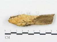 登錄號:F0013933藏品圖，第1張