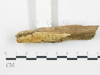 登錄號:F0013933藏品圖，第3張