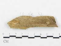 登錄號:F0013933藏品圖，第4張