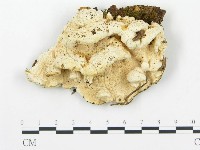 登錄號:F0013934藏品圖，第1張
