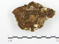 登錄號:F0013934藏品圖，第3張