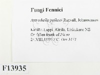 登錄號:F0013935藏品圖，第2張