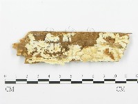 登錄號:F0013935藏品圖，第1張