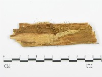 登錄號:F0013935藏品圖，第3張