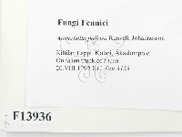 登錄號:F0013936藏品圖，第2張