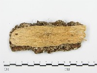 登錄號:F0013936藏品圖，第3張