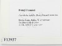 登錄號:F0013937藏品圖，第2張