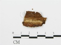 登錄號:F0013937藏品圖，第3張