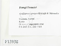 登錄號:F0013938藏品圖，第2張