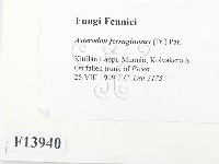 登錄號:F0013940藏品圖，第2張