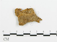 登錄號:F0013940藏品圖，第1張