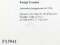 登錄號:F0013941藏品圖，第2張