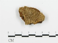 登錄號:F0013941藏品圖，第1張