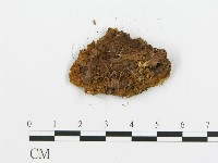 登錄號:F0013941藏品圖，第3張