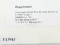 登錄號:F0013943藏品圖，第2張