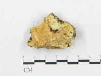登錄號:F0013943藏品圖，第1張