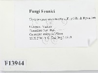 登錄號:F0013944藏品圖，第2張